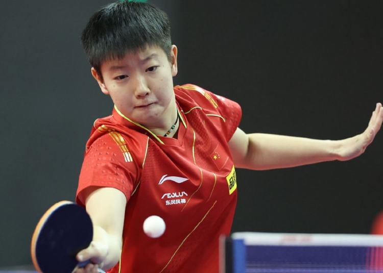 井然有序的 井然有序的